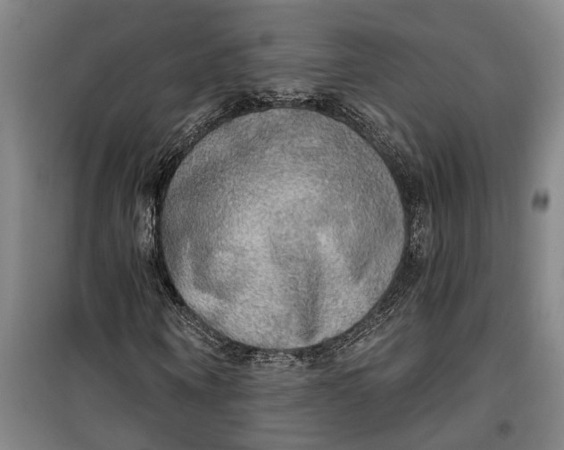 X0000099420866200805301405