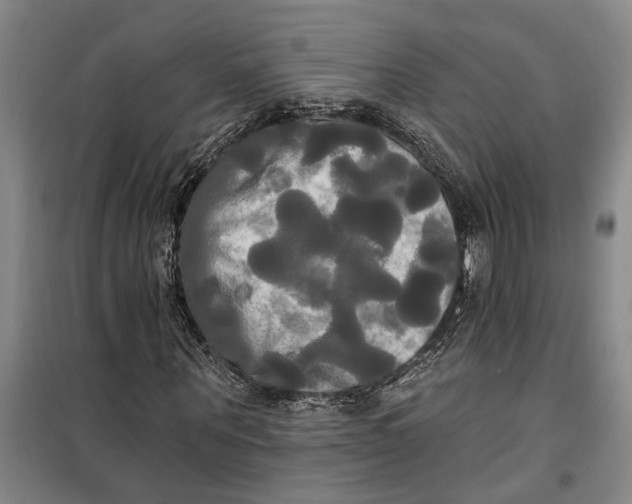 X0000099420867200805301405