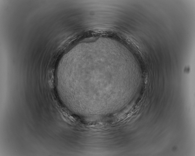 X0000099420868200805301405