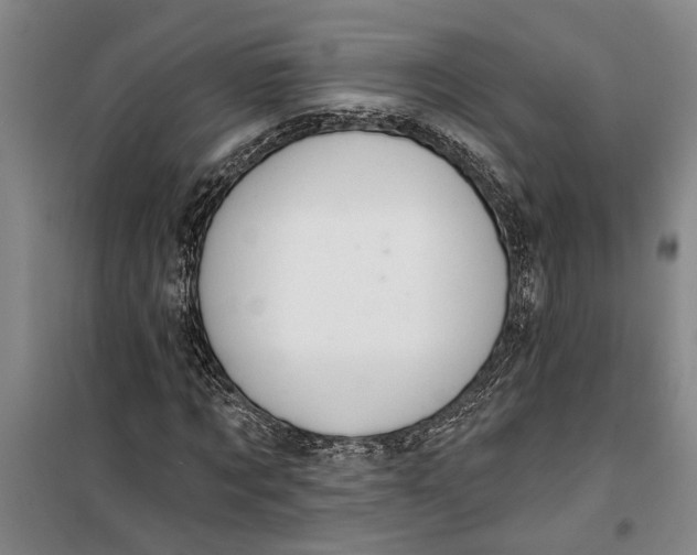 X0000099420869200805301405