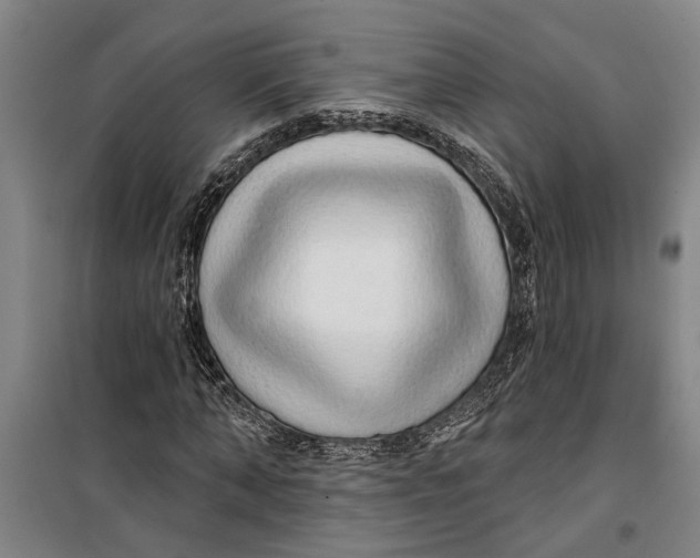 X0000099420870200805301405