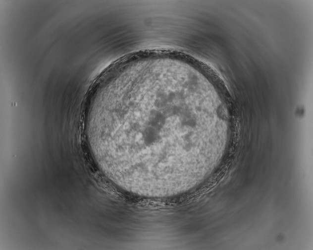 X0000099420871200805301405