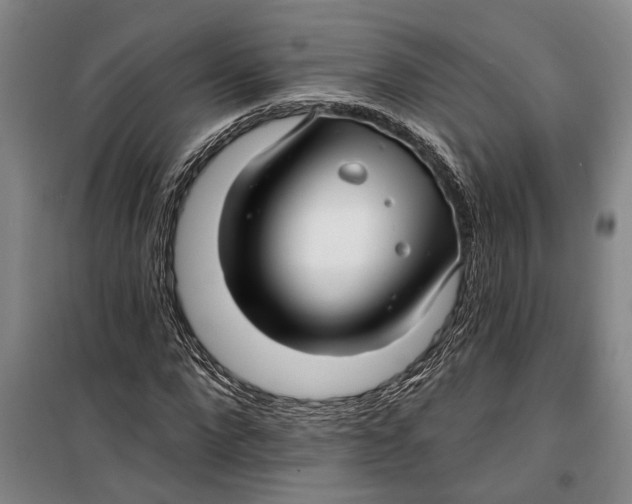 X0000099420872200805301405