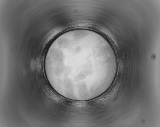 X0000099420874200805301405