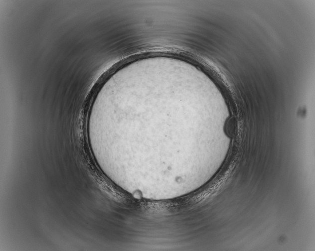 X0000099420875200805301405