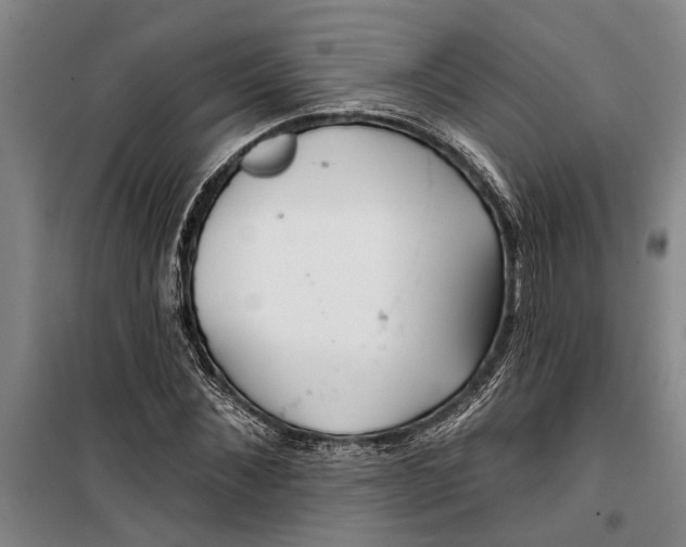 X0000099420876200805301405