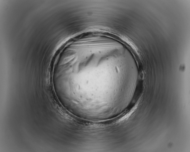 X0000099420877200805301405