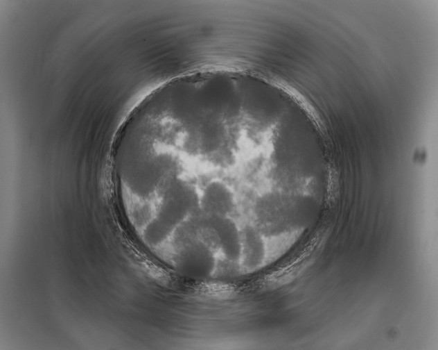 X0000099420878200805301405