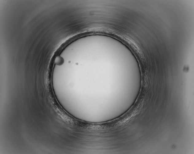 X0000099420880200805301405