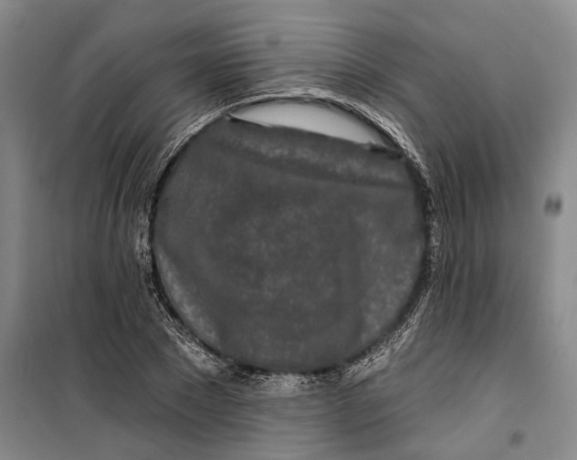 X0000099420881200805301405