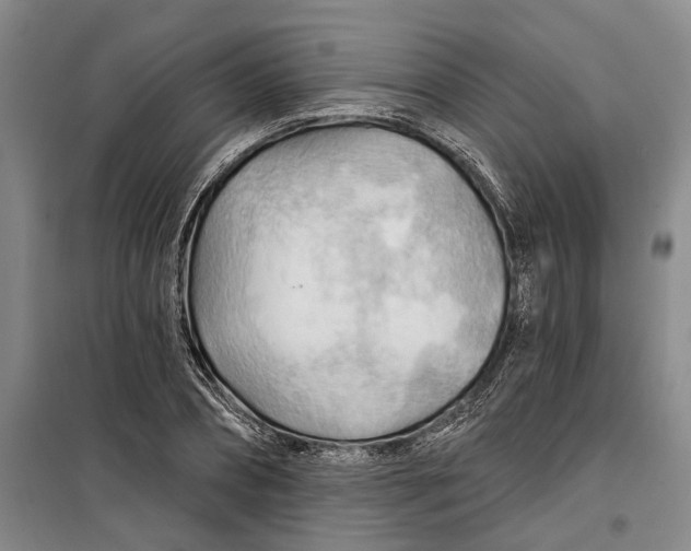 X0000099420882200805301405