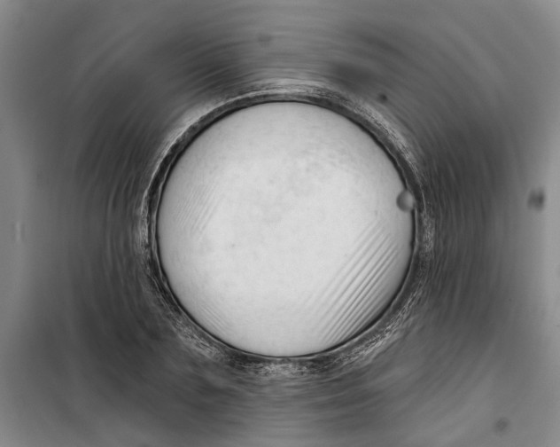 X0000099420883200805301405