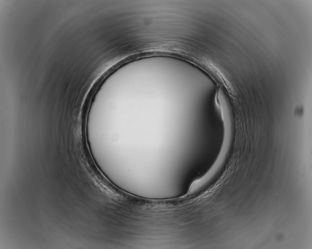 X0000099420884200805301405