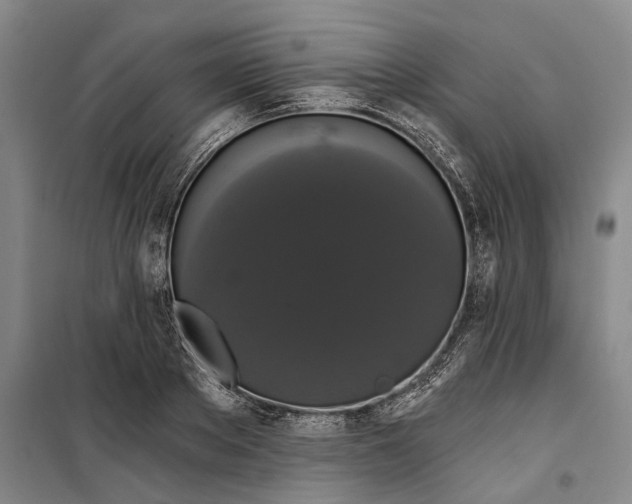 X0000099420889200805301404