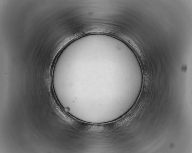 X0000099420890200805301404