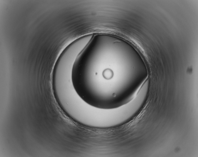 X0000099420891200805301404