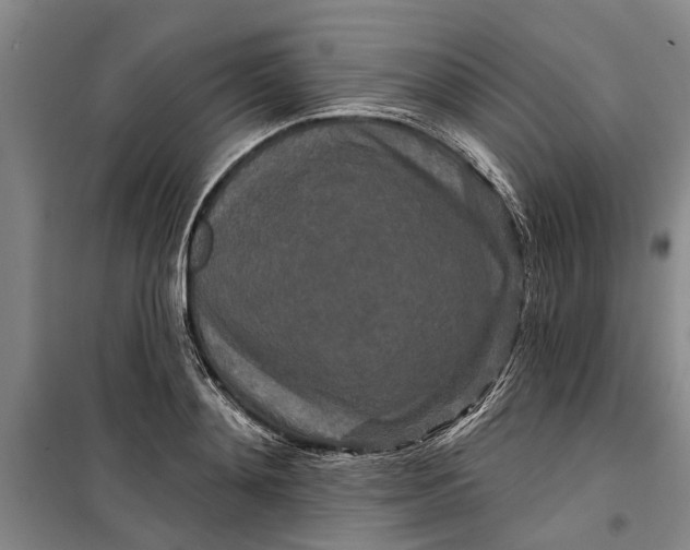 X0000099420892200805301404