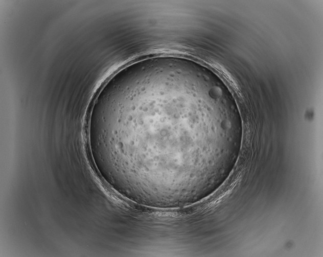 X0000099420893200805301404