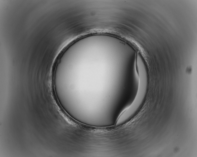 X0000099420894200805301404