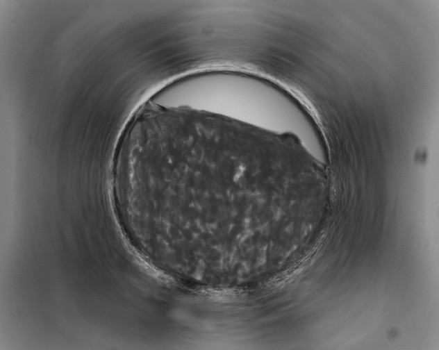 X0000099420895200805301404