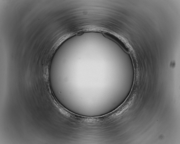 X0000099420897200805301404