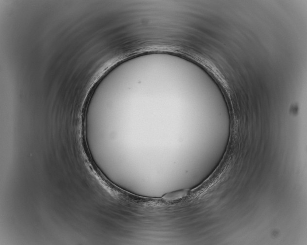 X0000099420898200805301404