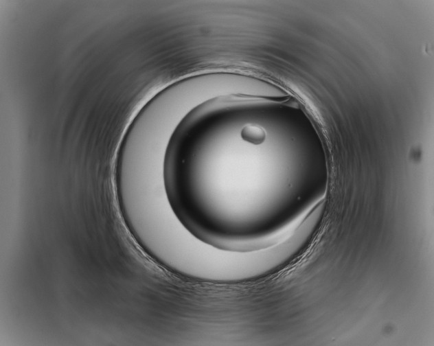 X0000099420899200805301404