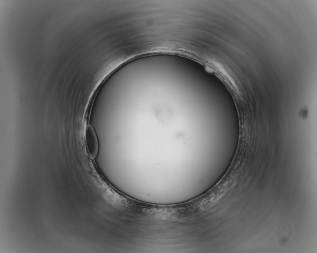 X0000099420900200805301404