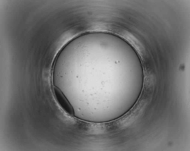 X0000099420901200805301404