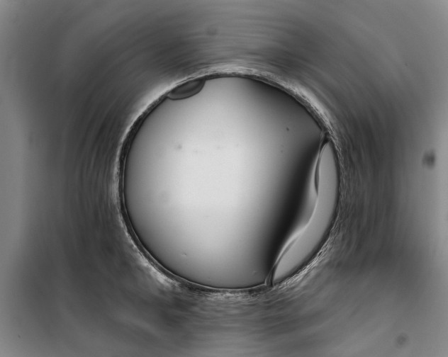 X0000099420902200805301404