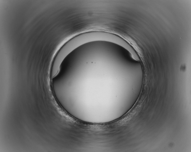 X0000099420904200805301404