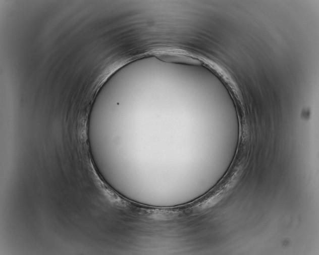 X0000099420905200805301404