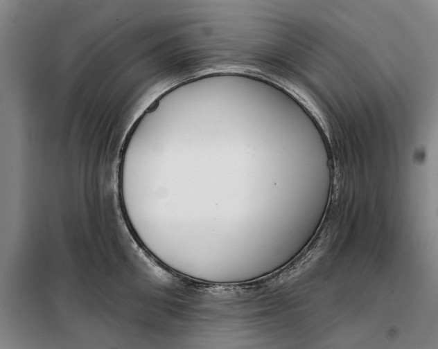 X0000099420906200805301404