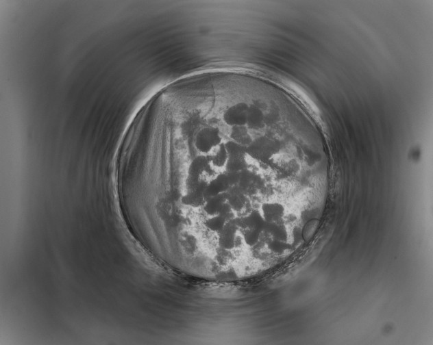 X0000099420907200805301404