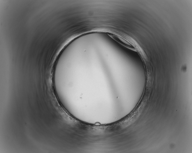 X0000099420908200805301404