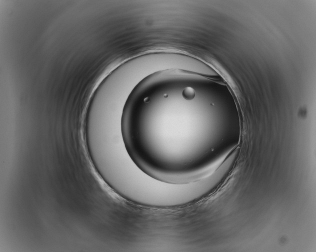 X0000099420909200805301404