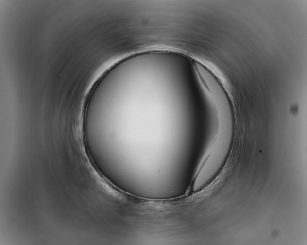 X0000099420910200805301404