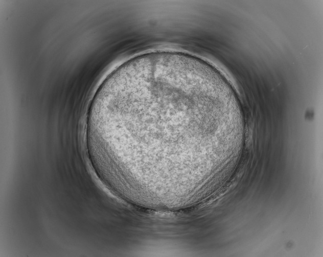 X0000099420911200805301404