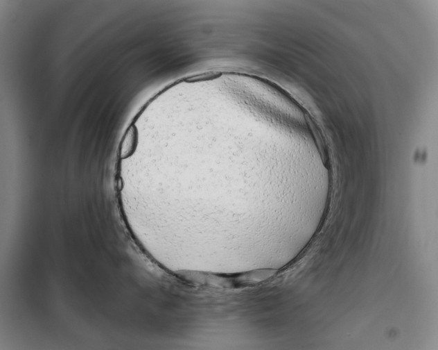 X0000099420912200805301404