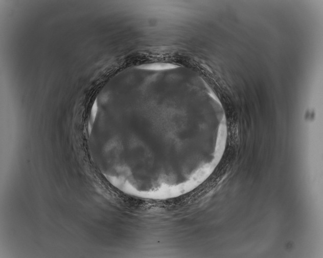 X0000099420913200805301403