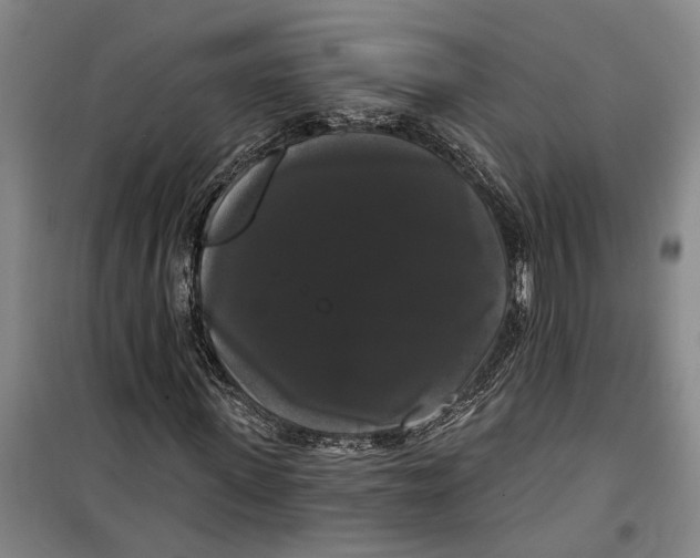 X0000099420915200805301403