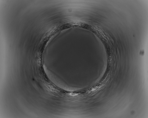 X0000099420916200805301404