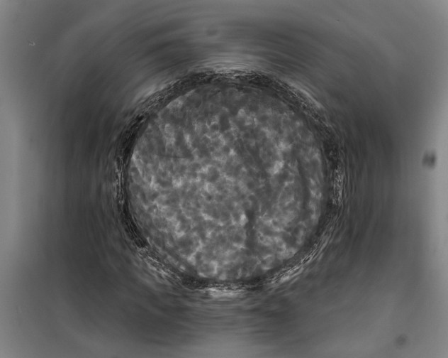 X0000099420917200805301404