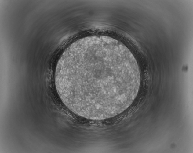 X0000099420918200805301404