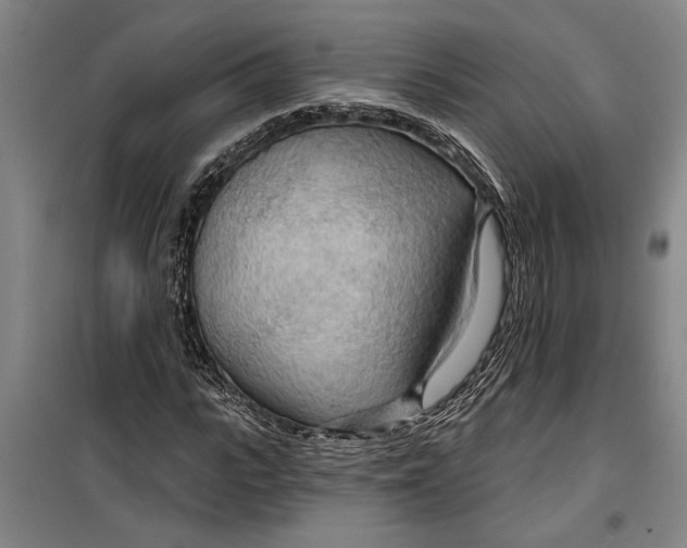 X0000099420919200805301404