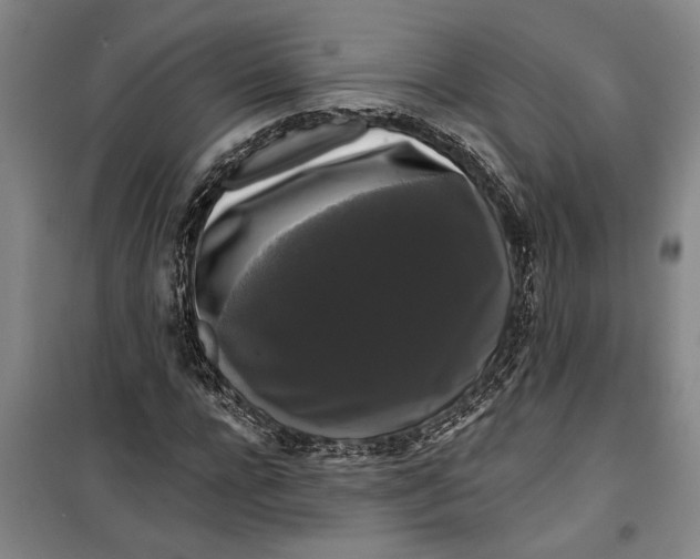 X0000099420920200805301404