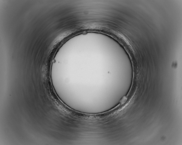 X0000099420922200805301404