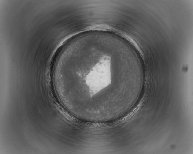 X0000099420923200805301404