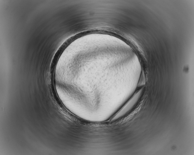 X0000099420924200805301404