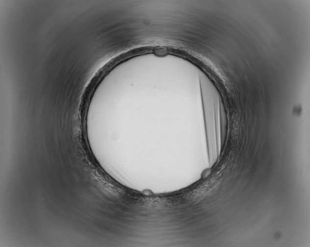 X0000099420927200805301404